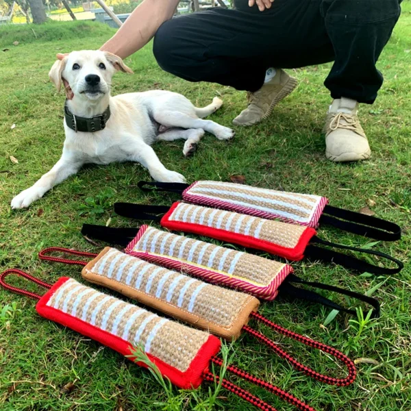 Durable Dog Training Tug of War Toy